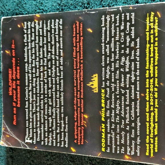 Wildfire - Picture 2 of 4